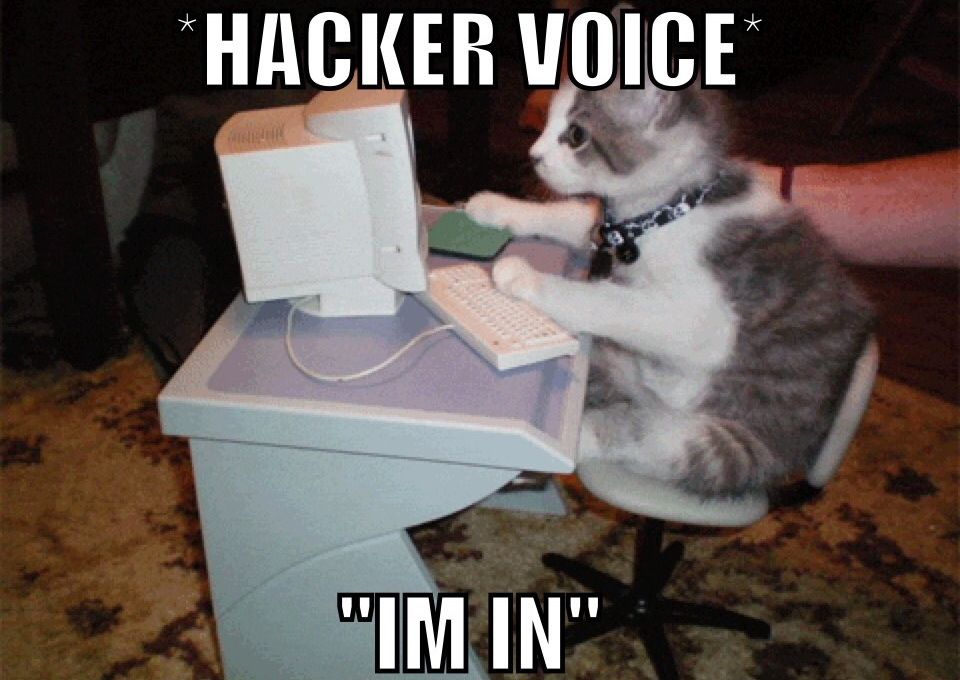 Use hacker voice to say I'm in.